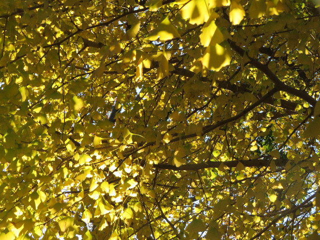 ファイル 7406-5.jpg