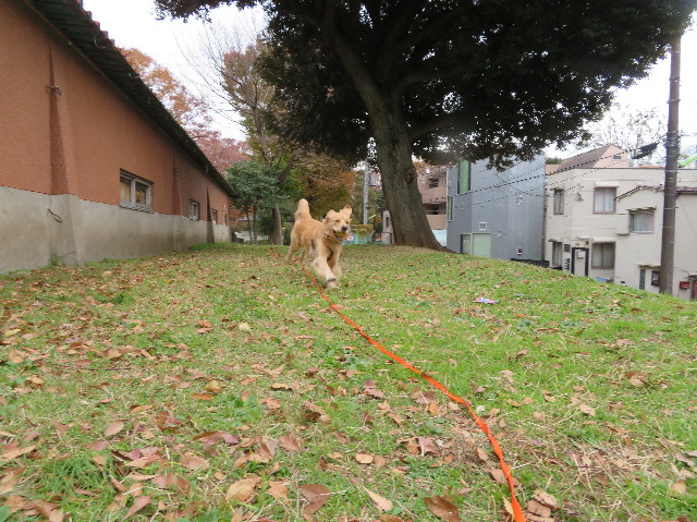 ファイル 7407-2.jpg