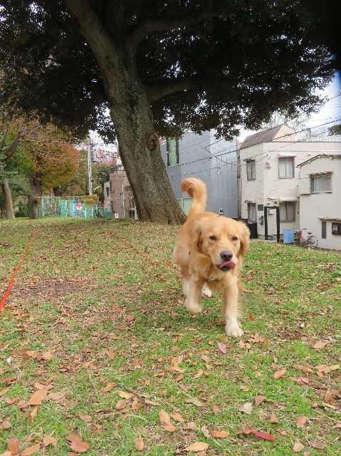 ファイル 7407-4.jpg