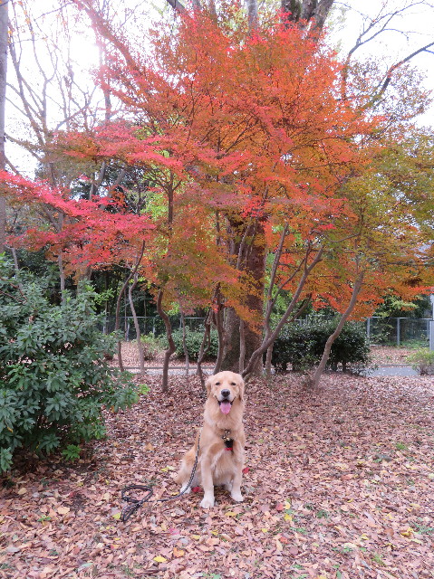 ファイル 7407-5.jpg