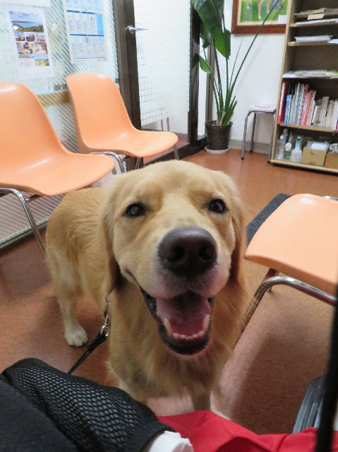 ファイル 7409-1.jpg