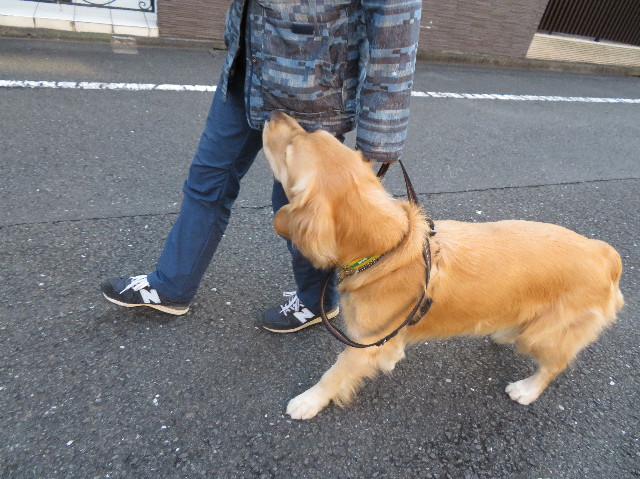 ファイル 7409-3.jpg