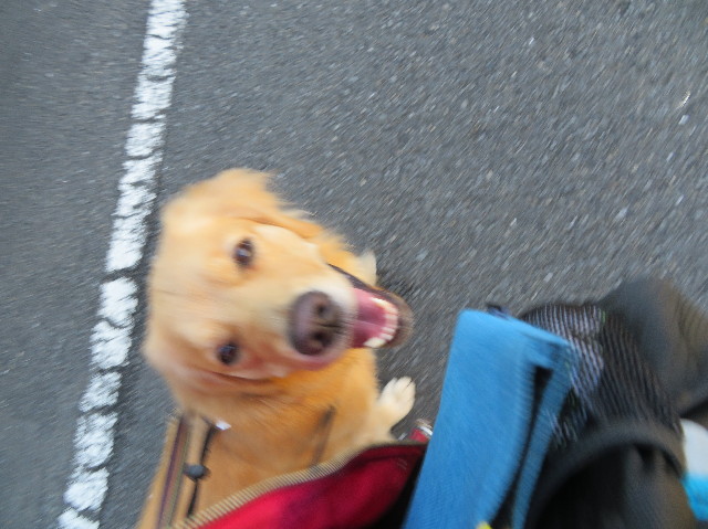 ファイル 7409-5.jpg