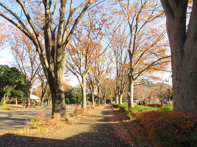 ファイル 7410-4.jpg