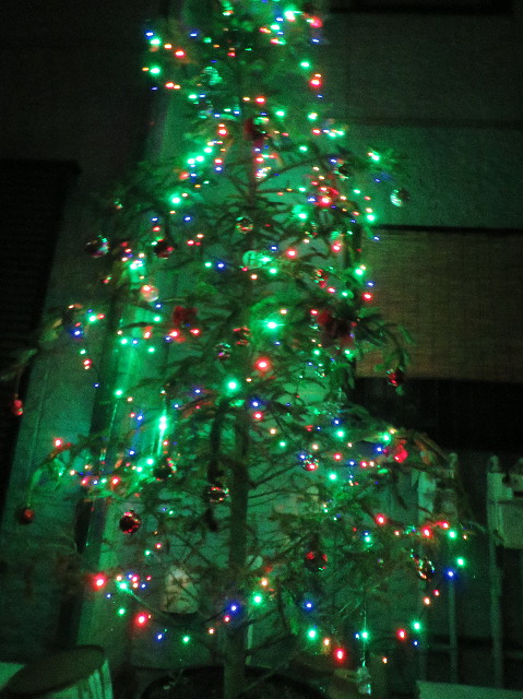 ファイル 7411-2.jpg