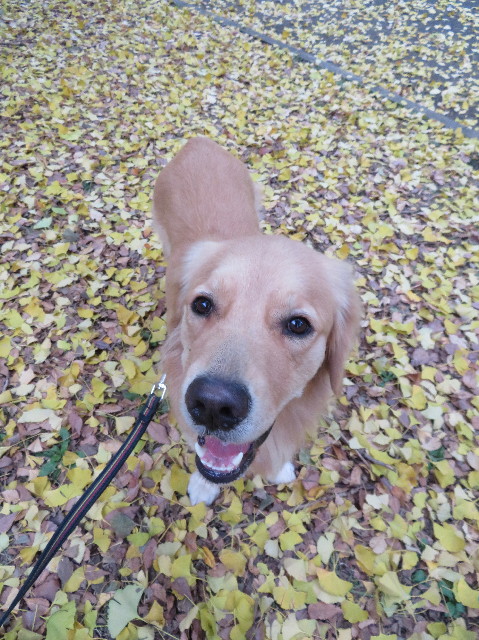 ファイル 7412-5.jpg