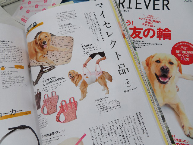 ファイル 7416-2.jpg