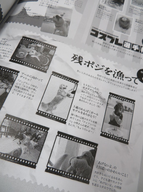 ファイル 7416-3.jpg