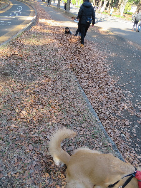 ファイル 7417-4.jpg