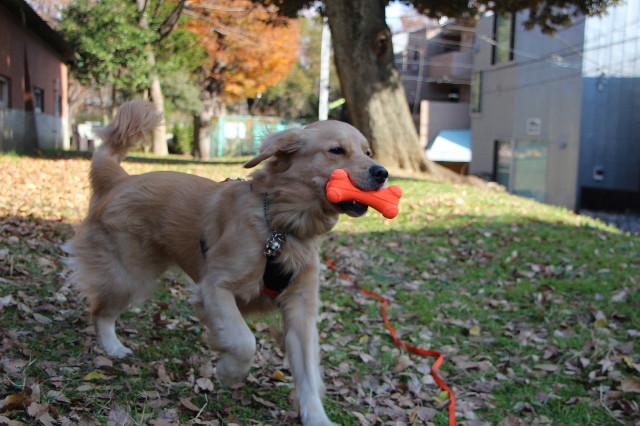 ファイル 7418-1.jpg