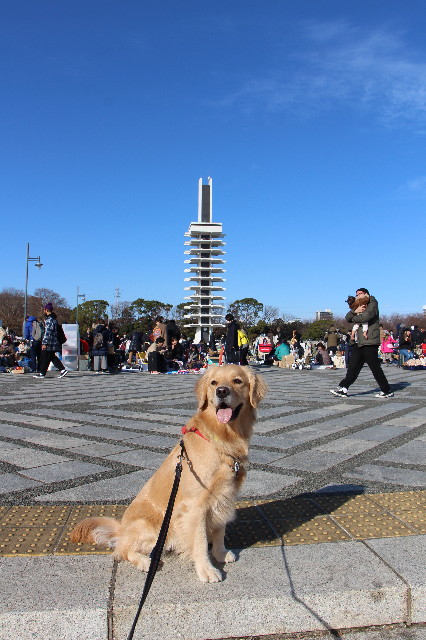 ファイル 7418-3.jpg