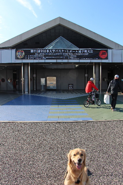 ファイル 7418-4.jpg