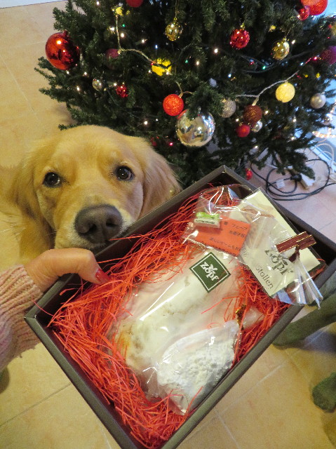 ファイル 7419-1.jpg