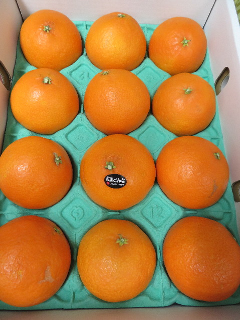 ファイル 7419-4.jpg