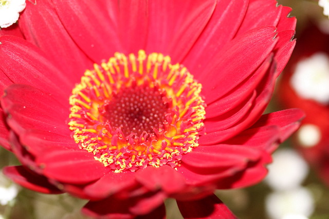 ファイル 742-3.jpg