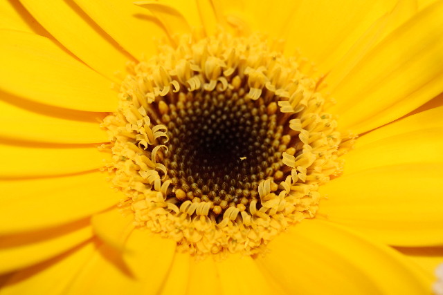 ファイル 742-4.jpg