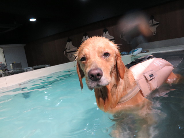 ファイル 7420-2.jpg