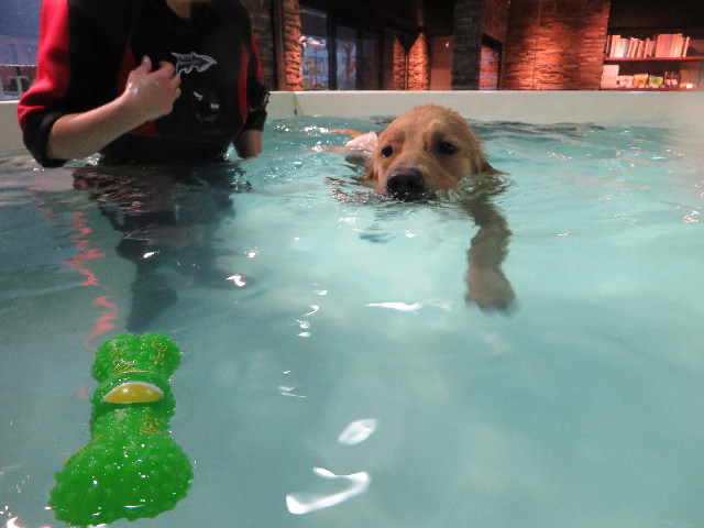 ファイル 7420-4.jpg