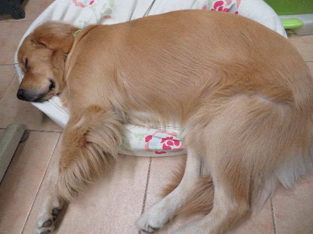 ファイル 7420-5.jpg