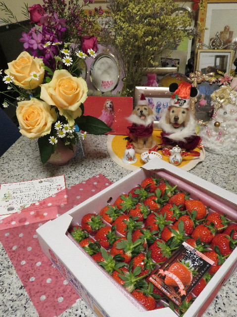 ファイル 7421-2.jpg