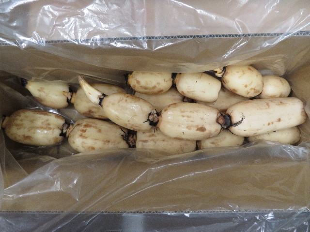 ファイル 7421-3.jpg