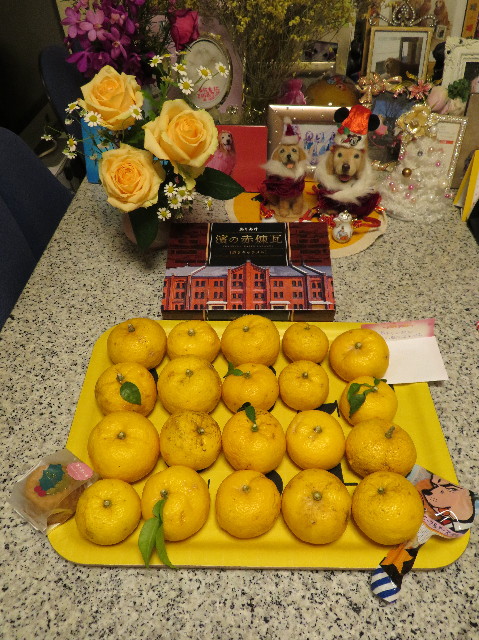 ファイル 7421-4.jpg