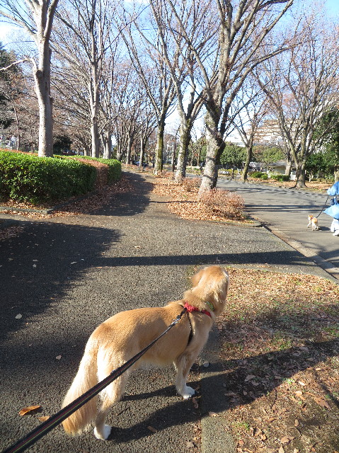 ファイル 7422-2.jpg