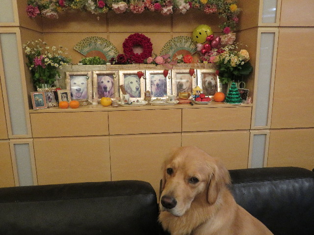 ファイル 7422-3.jpg