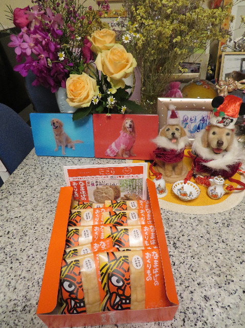 ファイル 7423-2.jpg