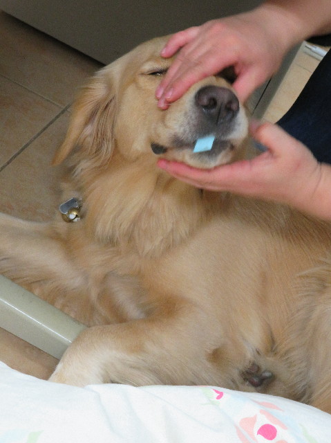 ファイル 7423-5.jpg