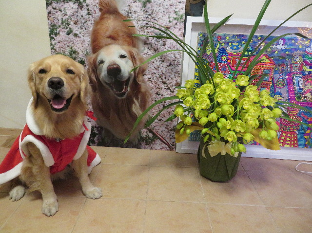 ファイル 7424-1.jpg