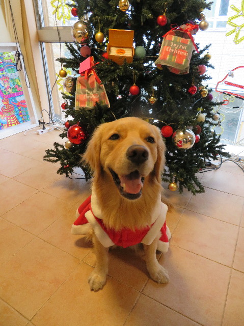 ファイル 7424-4.jpg