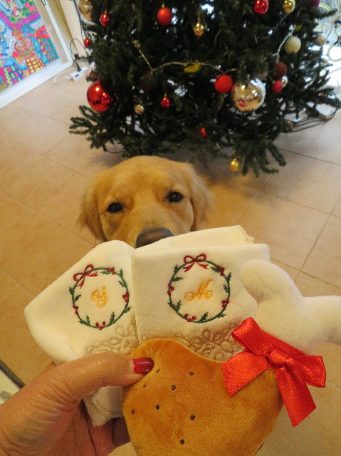 ファイル 7424-5.jpg