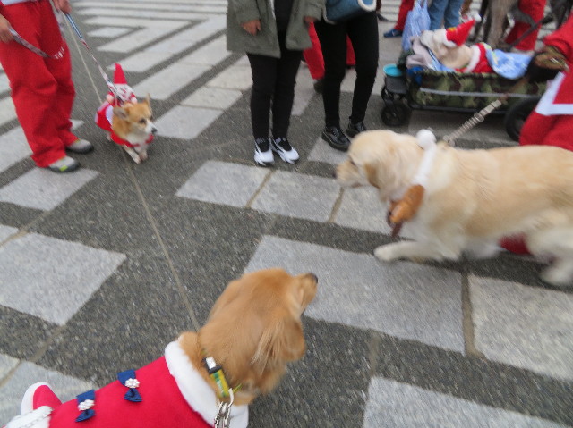 ファイル 7425-2.jpg