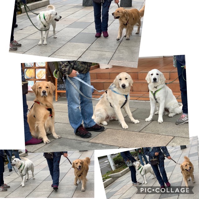 ファイル 7426-4.jpg