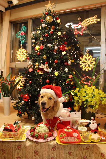 ファイル 7429-3.jpg