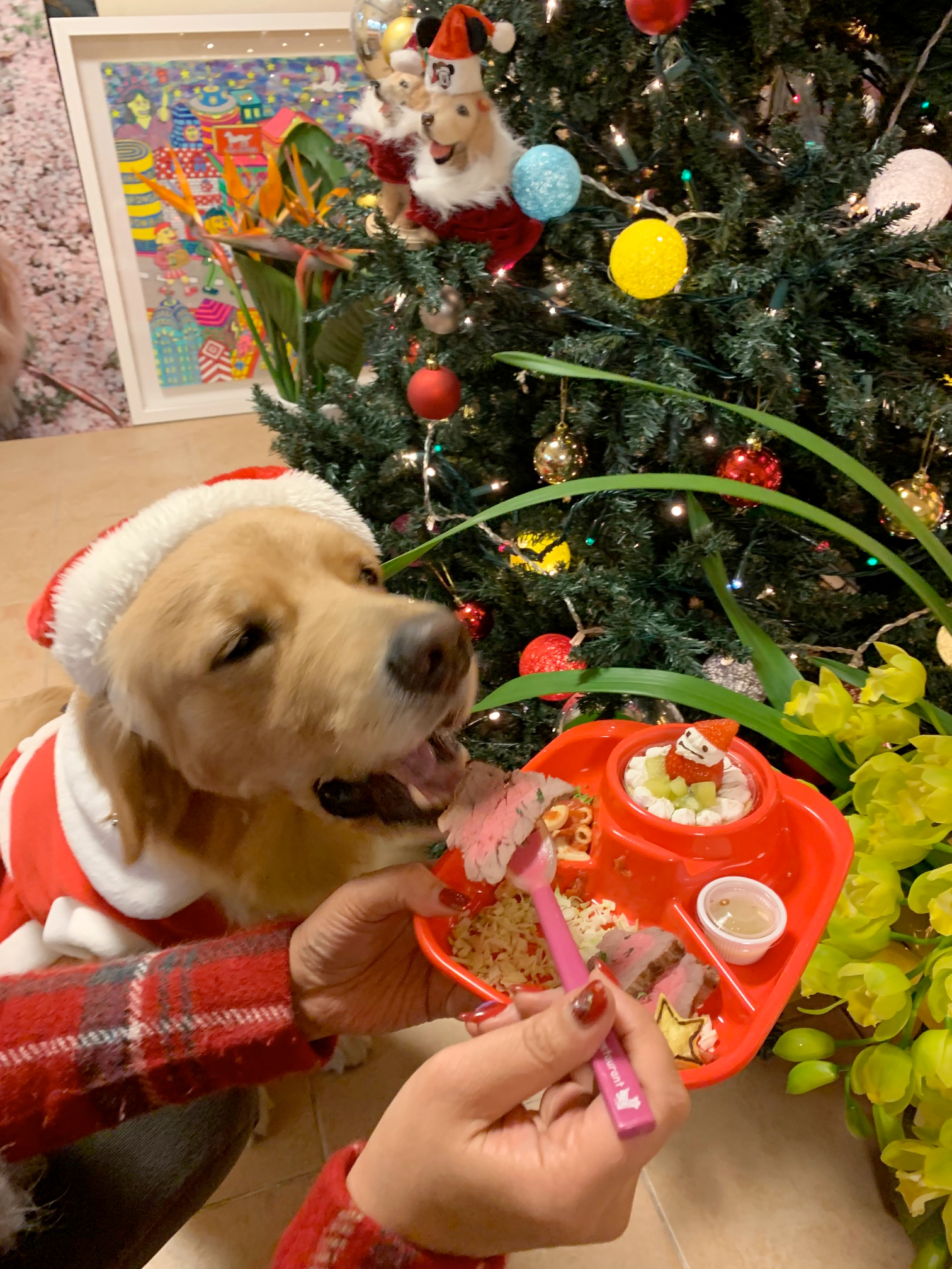 ファイル 7429-5.jpg