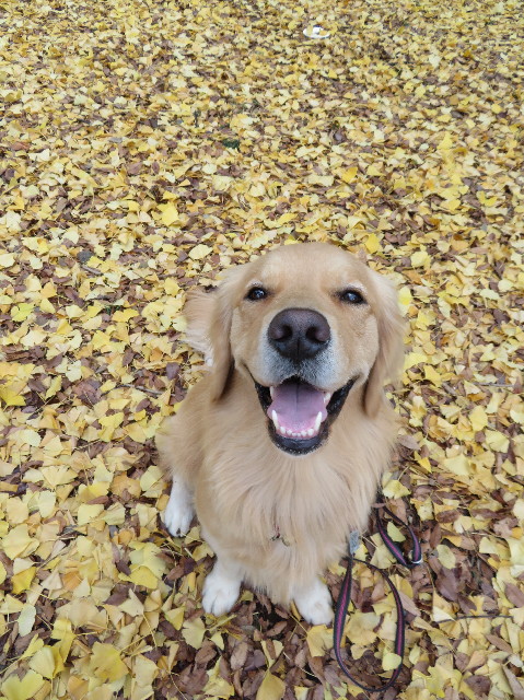 ファイル 7431-3.jpg