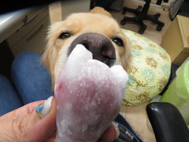 ファイル 7431-4.jpg