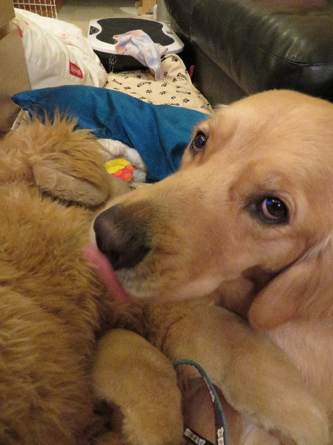 ファイル 7431-5.jpg