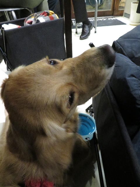 ファイル 7432-3.jpg