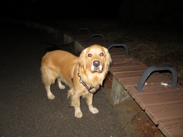 ファイル 7433-3.jpg