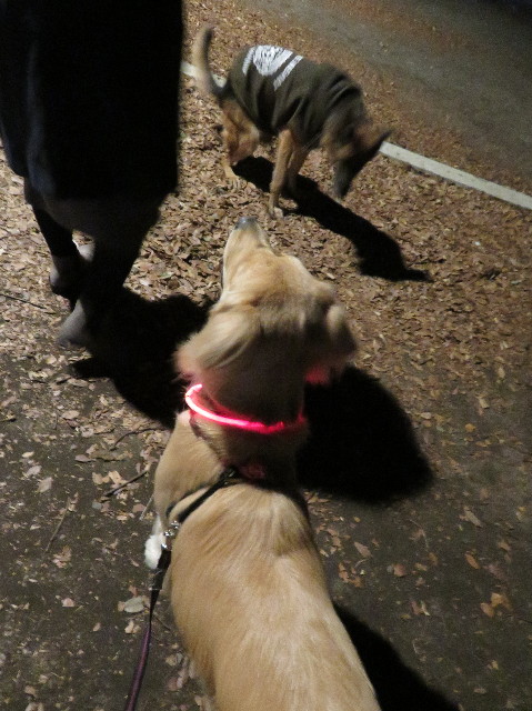 ファイル 7434-5.jpg