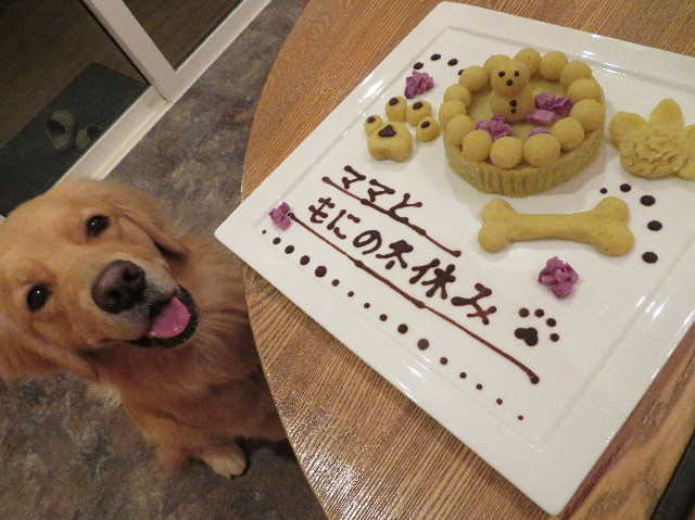 ファイル 7436-1.jpg