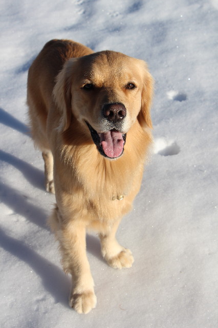 ファイル 7437-1.jpg