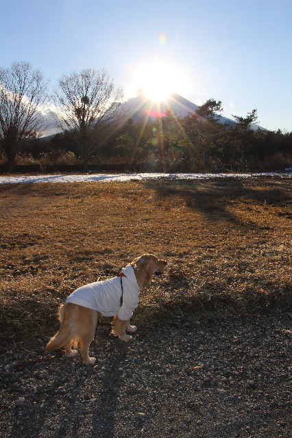 ファイル 7438-1.jpg