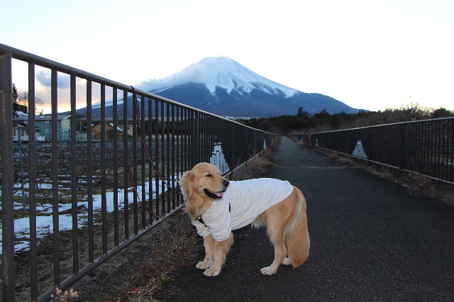 ファイル 7438-2.jpg