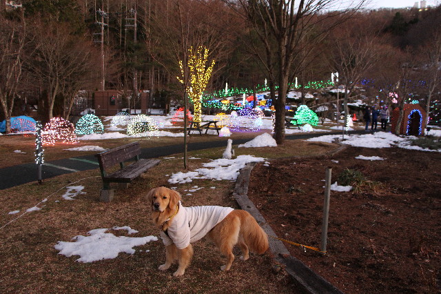 ファイル 7438-3.jpg