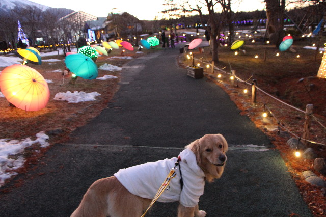 ファイル 7438-4.jpg