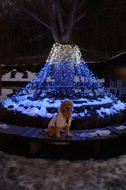 ファイル 7438-5.jpg